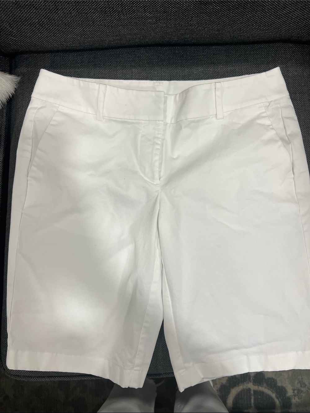 Ann Taylor White Boardwalk Shorts